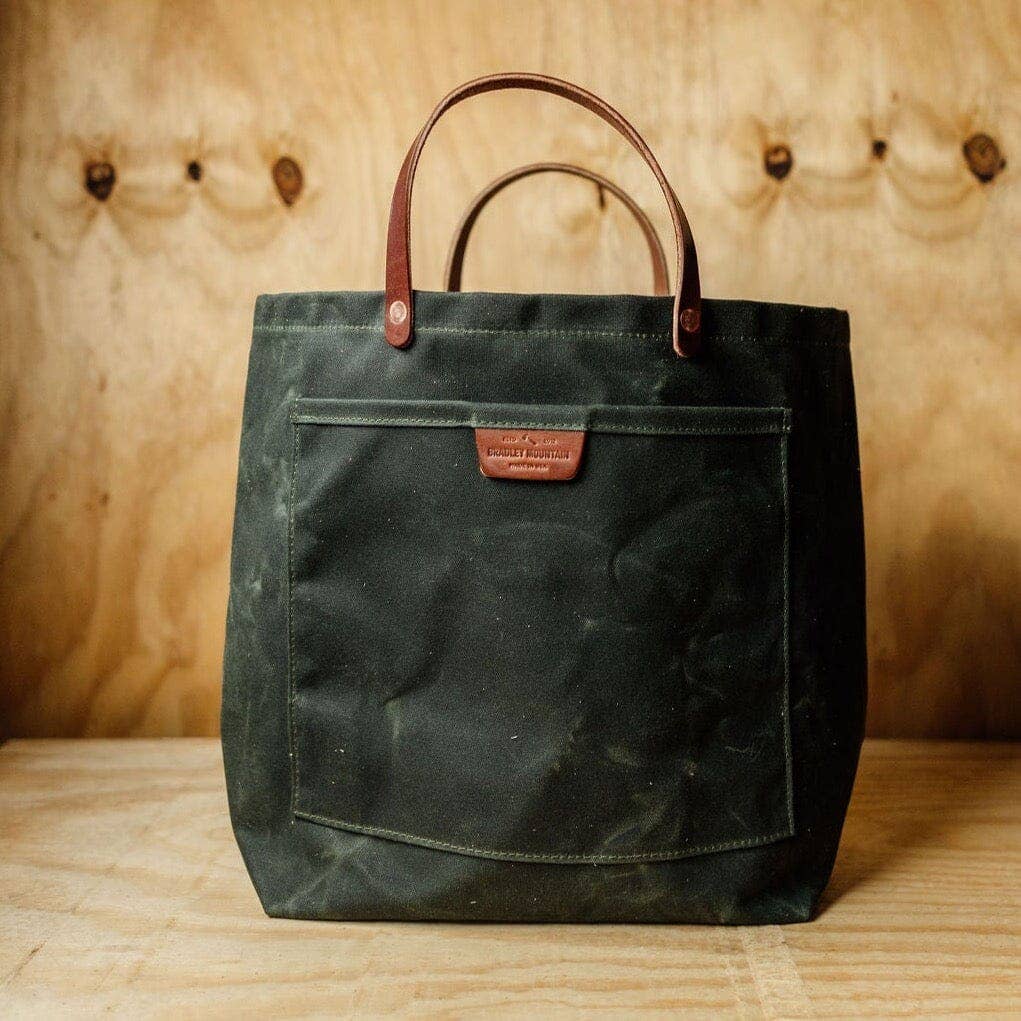 Bradley Mountain - Coal Tote - Forest